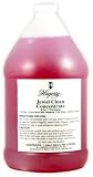 Hagerty Jewel Clean Concentrate, 1 Gallon