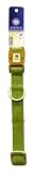 AKC Collar Adjustable Large Green 1x18-26