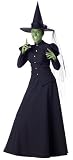 Original Deluxe Wicked Witch Costume Green Face Paint not included.)