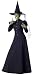 Original Deluxe Wicked Witch Costume Green Face Paint not included.)
