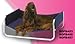 Kitchen & Housewares : Dog Beds - Firstrax - Sof-Bed-22"x18" Silver Frame/Burgundy Bed