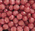 Filled Red Raspberries