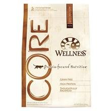 Wellness CORE Fish & Fowl Recipe Dry Cat Food - 2 lb