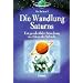 Die Wandlung Saturns: Eine ganzheitliche Betrachtung des H�ters der Schwelle