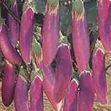 Bali - eggplant seed packet