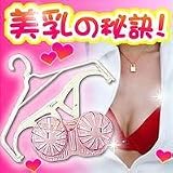 ブラジャー用ハンガー　ピンク