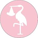Fridgedoor It's A Girl Pink Stork Car Magnet