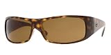 318NKJ91ghL.SL160RayBanFramesRayBanORB8307PolarAviatorSunglassesReviews