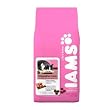 Iams Digestive Care Formula Adult Chicken Cat Food