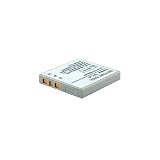 Sanyo Xacti VPC-CG9 Replacement Battery (DQ-RL20)