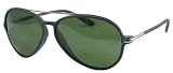 TOM FORD RAMONE TF149 color 02N Sunglasses