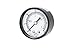 PIC Gauges SE-102D-204C Utility Gauge Center Back Mount, 3-2-3% Accuracy