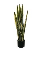 Evergreens Planta Artificial Sanseveria Verde/Amarillo