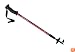 Swiss Gear Hiking Pole