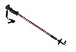 Swiss Gear Hiking Pole