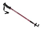 Swiss Gear Hiking Pole