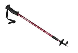 Swiss Gear Hiking Pole