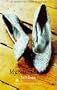 My Silver Shoes