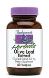 Olive Leaf 300mg - 60 - Capsule