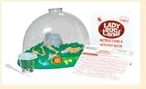 LADYBUG LAND