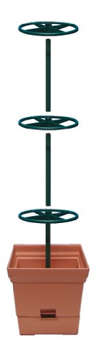 Bio Green MT 2 Maxitom Pflanzenturm 2-er Set, Abmessungen 28 x 28 x 105 cm, 16 + 2 Liter Preisvergleich