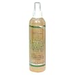 Morningstar Minerals Derma Boost Protein Repair Spray, 8-Ounce Bottles (Pack of 2)