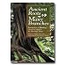 Ancient Roots, Many Branches 450 pages, Paperback
