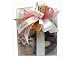 Wisconsin Mini Traveler Sweet Treats Gift Bag