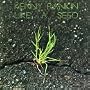 Like a Seed
