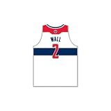 WASHINGTON WIZARDS OFFICIAL 1"X1" NBA LAPEL PIN