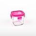 Wean Green Wean Cubes 4oz/120ml Baby Food Glass Containers - Raspberry (Set of 4)