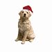 Golden Retriever Sitting Wearing a Santa Hat Christmas Holiday Ornament Sandicast