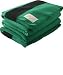 Woolrich Hudson's Bay Green Wool 4 Point Blanket