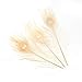Shekyeon 10-12inch Dyeing Peacock Feathers Bleached Plume Wedding Table Centerpiece Pack of 10(off white)