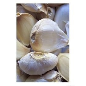 Cloves of Garlic Photographic Print by Fogstock Llc, 18" x 24"