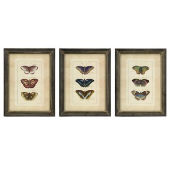 New Set Of Three Framed Colorful Butterfly Study Prints High Quality Modern Design Beautiful Popular Picture