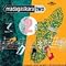AMAZING AFRICAN MUSIC