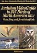 Audubon VideoGuide to 247 Water, Prey & Scratching Birds of North America, Vol. 1