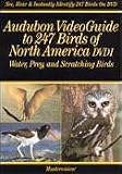 DVD Audubon VideoGuide to 247 Water, Prey & Scratching Birds of North America, Vol. 1 code image
