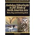 Audubon VideoGuide to 247 Water, Prey & Scratching Birds of North America, Vol. 1