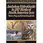 Audubon VideoGuide to 247 Water, Prey & Scratching Birds of North America, Vol. 1