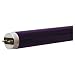 Eiko 15504 - F4T5/BLB - 4 Watt T5 Fluorescent Blacklight Blue, 6" Length