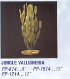 PLANT JUNGLE VAL 12 LARGE