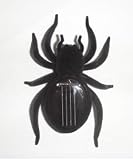 Solar Powered Spider- Educational Toy