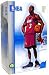 Dwyane Wade Miami Heat NBA All Star Vinyl