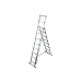 Telesteps