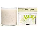 Paddywax - Heirloom Garden Florence Fennel
