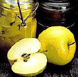 Yellow Delicious Apple Tree Five Gallon