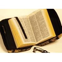 Durable Zippered Book/Bible Cover: Tapestry Fabric, Friendly Felines Pattern for Paperback