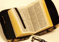 Durable Zippered Book/Bible Cover: Tapestry Fabric, Friendly Felines Pattern for Paperback
